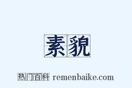 素貌是什么意思的图片